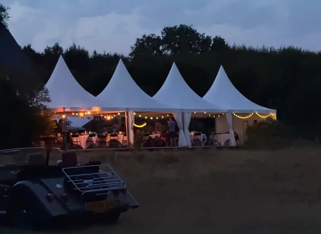 location chapiteau avec parquet mariage .jpg
